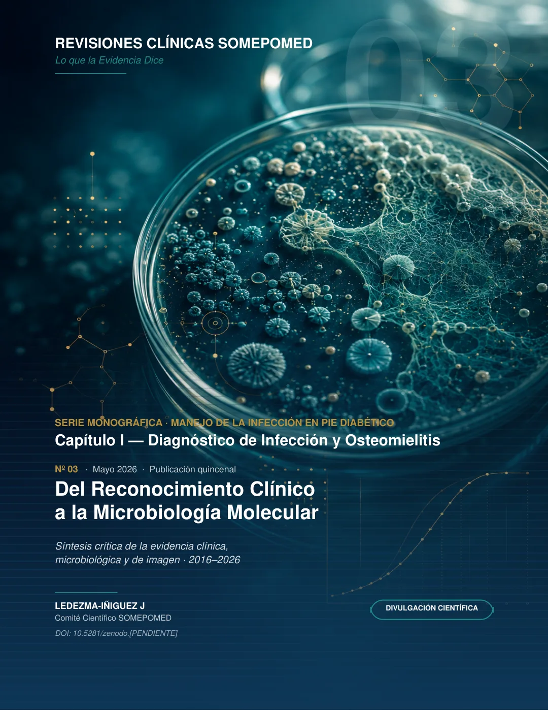 Portada de la Revisi&oacute;n 03: Diagnóstico de infección y osteomielitis